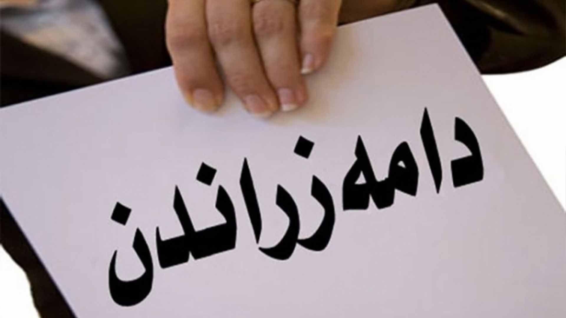 رێككارەكانی دامەزراندنی 500 كارمەندی گرێبەستی بۆ هەڵەبجە تەواو كرا