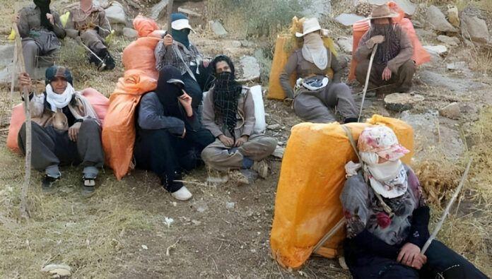 لە سنووری نەوسودی رۆژهەڵاتی كوردستان ژنە كۆڵبەرێك كوژرا
