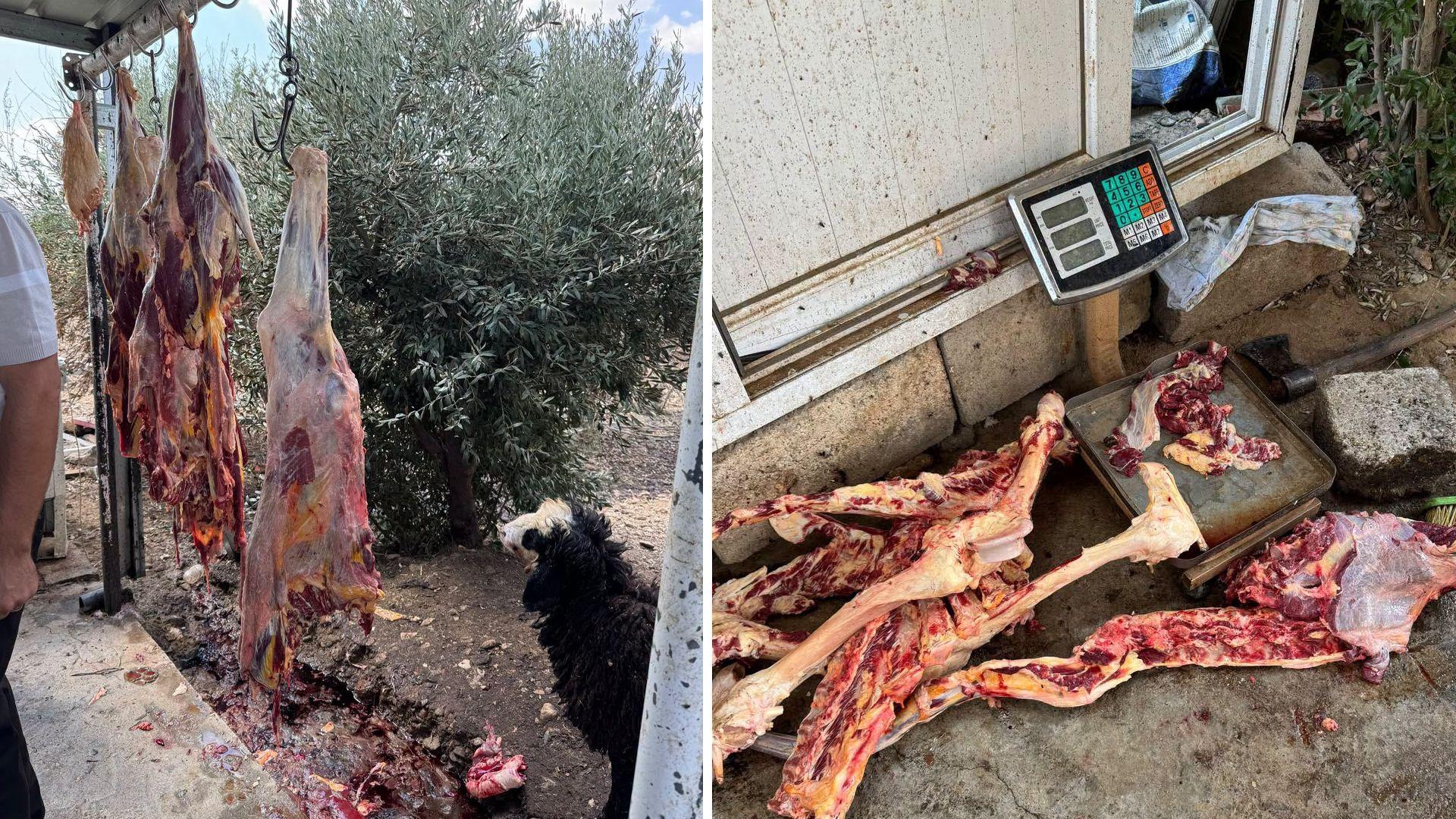 لە باخێکدا لە سلێمانی دەست بەسەر بڕێکی زۆر گۆشتی ناتەندروستدا گیرا