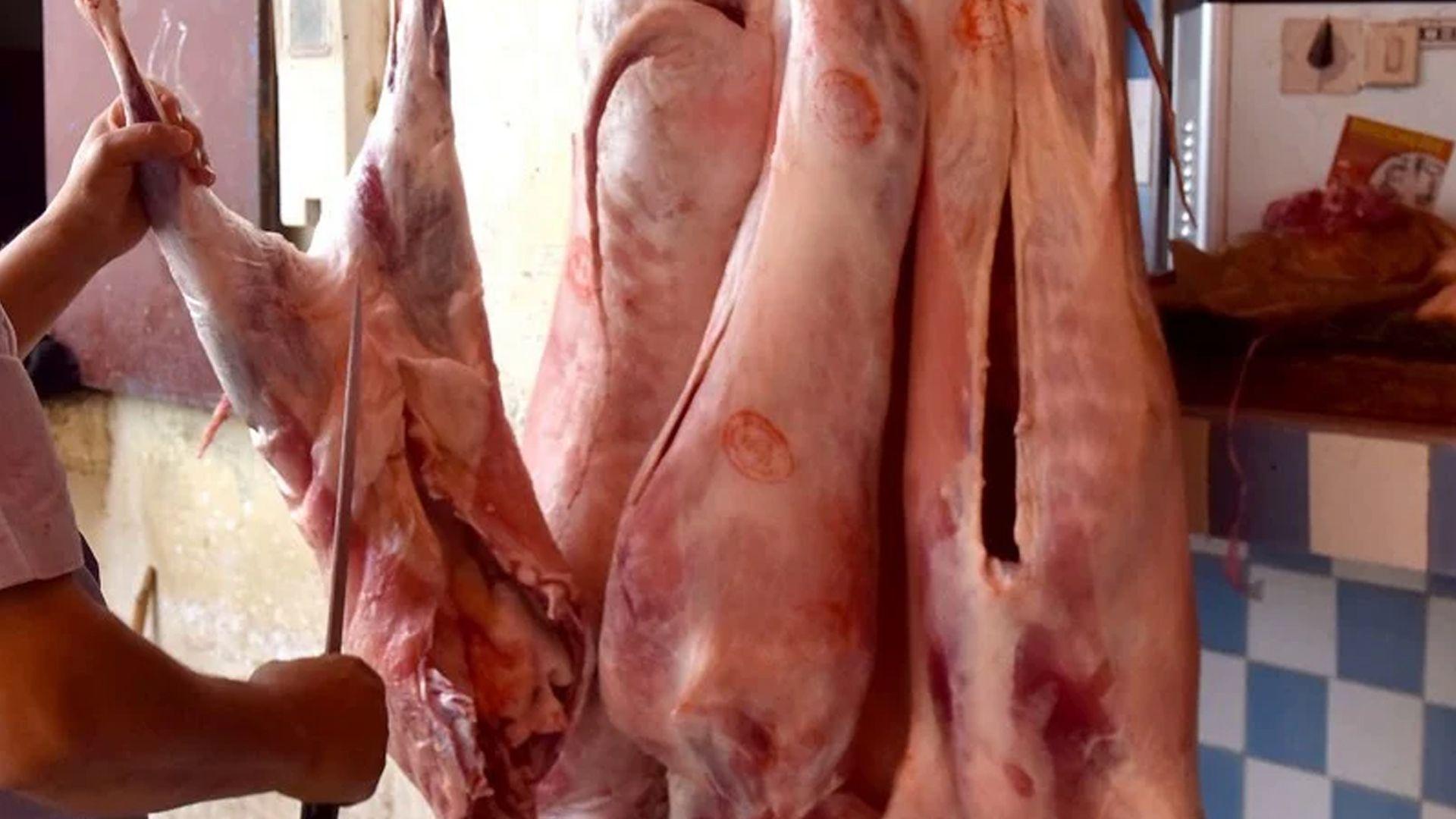 لە بازاڕەکانی مەغریبدا گۆشتی سەگ و گوێدرێژ بە هاووڵاتییان فرۆشراوە 