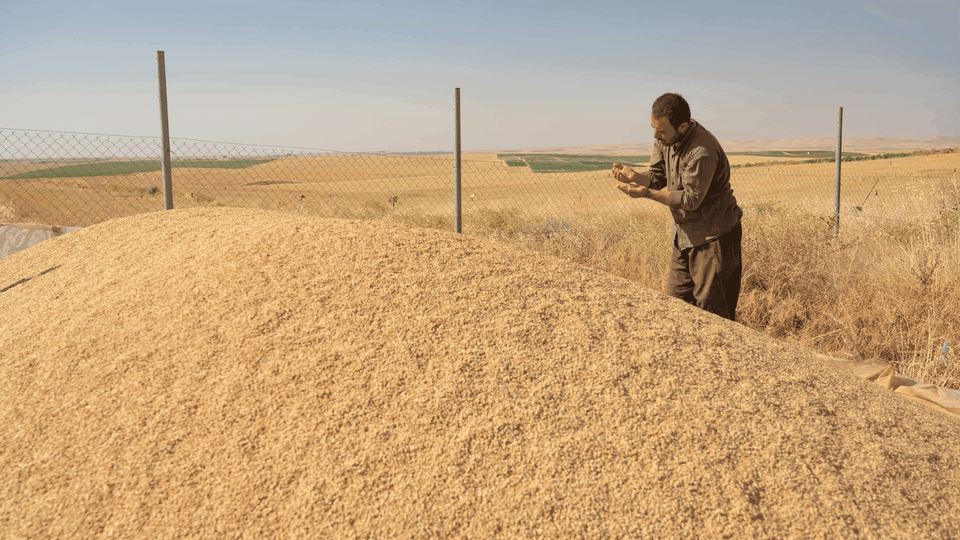 داوای خەرجكردنی ٢٨٤ ملیار دیناری پارەی گەنمی جوتیارانی هەرێم دەكرێت
