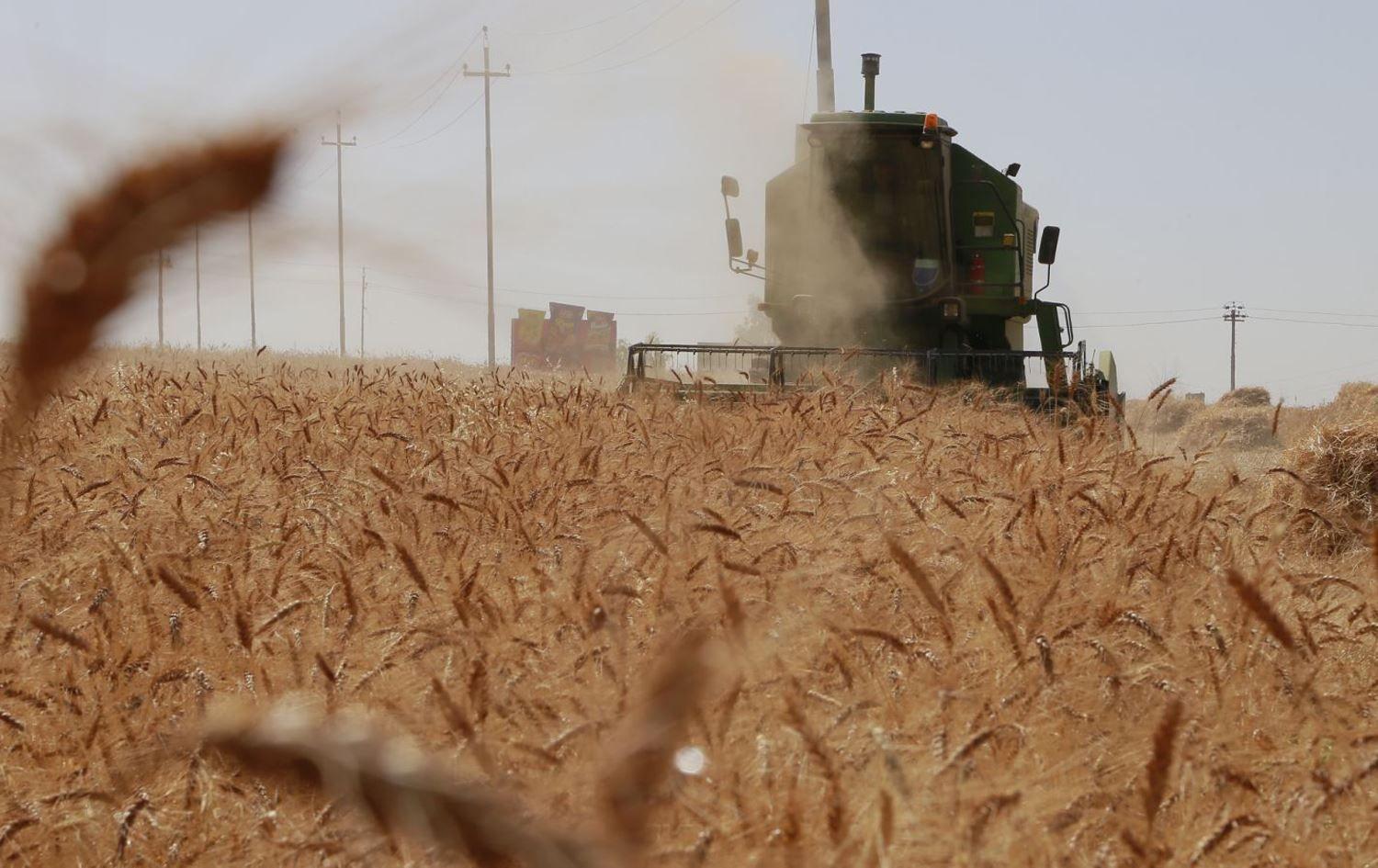 وەزیری کشتوکاڵی عیراق داوای سەرخستنی پلانی کشتوکاڵی دەکات
