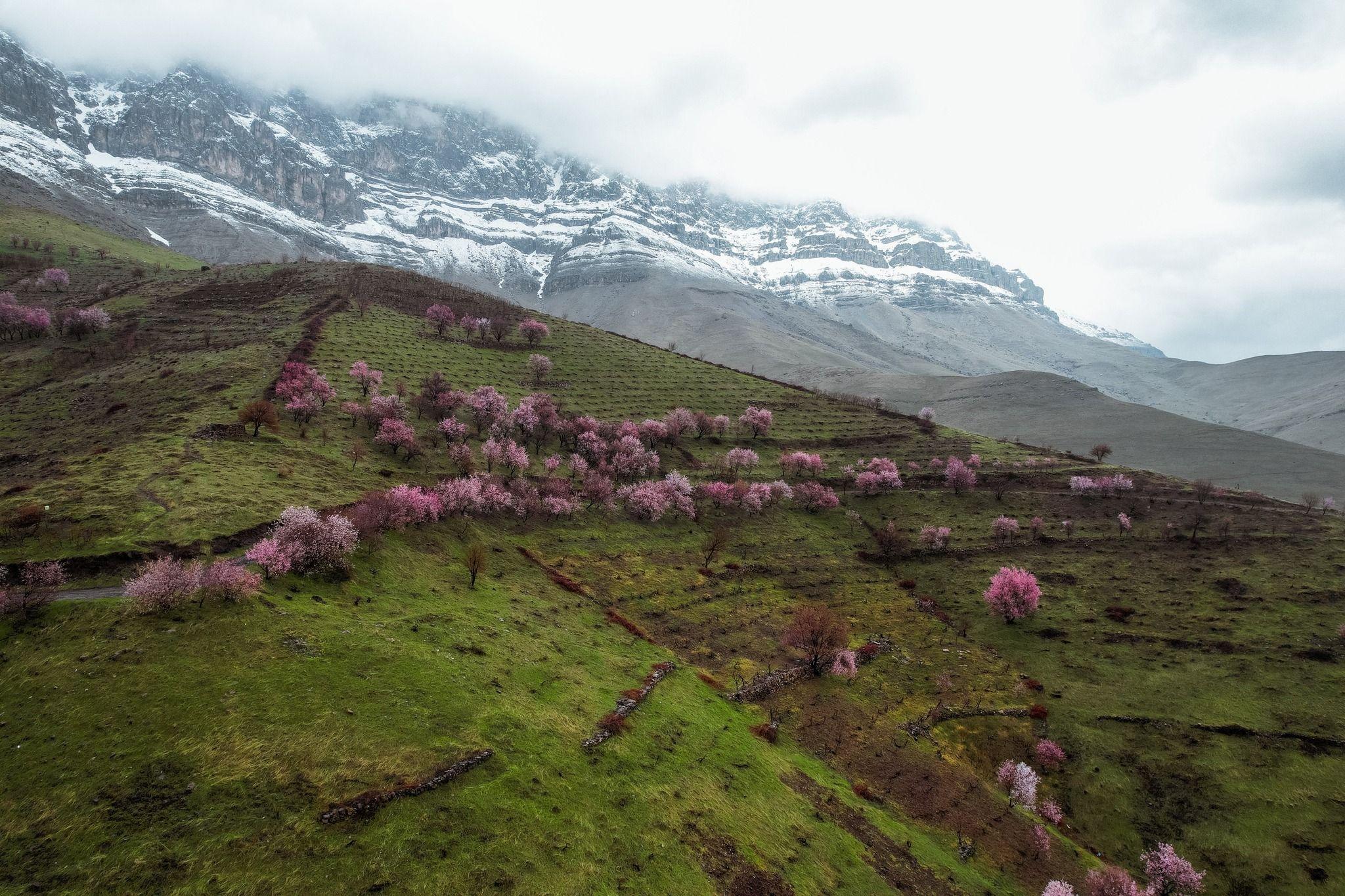 لەدوای ئەم شەپۆلی سەرمایە؛ کەشناسی پێشبینی نوێی کەشوهەوای راگەیاند