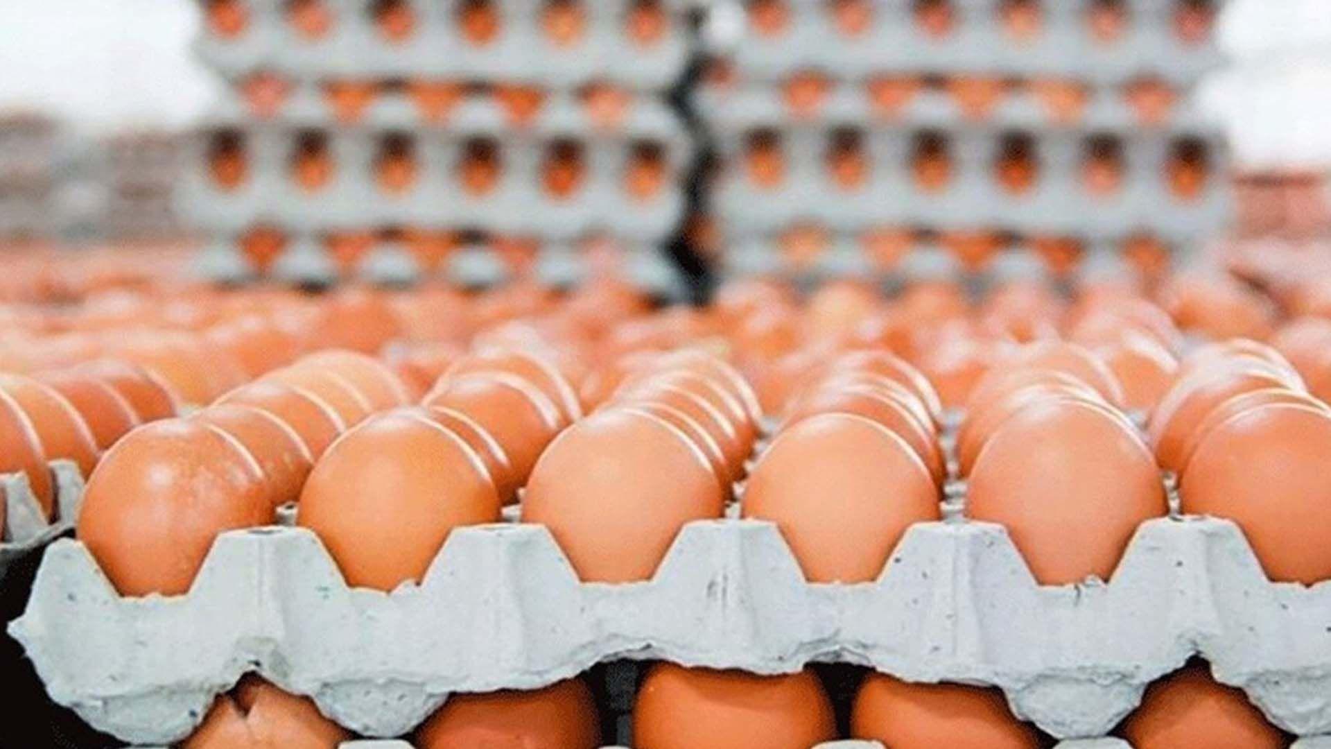 قائیمقامییەتی سلێمانی: هەر هێلکەیەک  مێژووی دەرچون و بەسەرچوونی لەسەر نەبێت دەستی بەسەردا دەگیرێت 