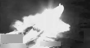 الولايات المتحدة تستهدف سفينة بزعم نقلها مخدرات في المحيط الهادئ