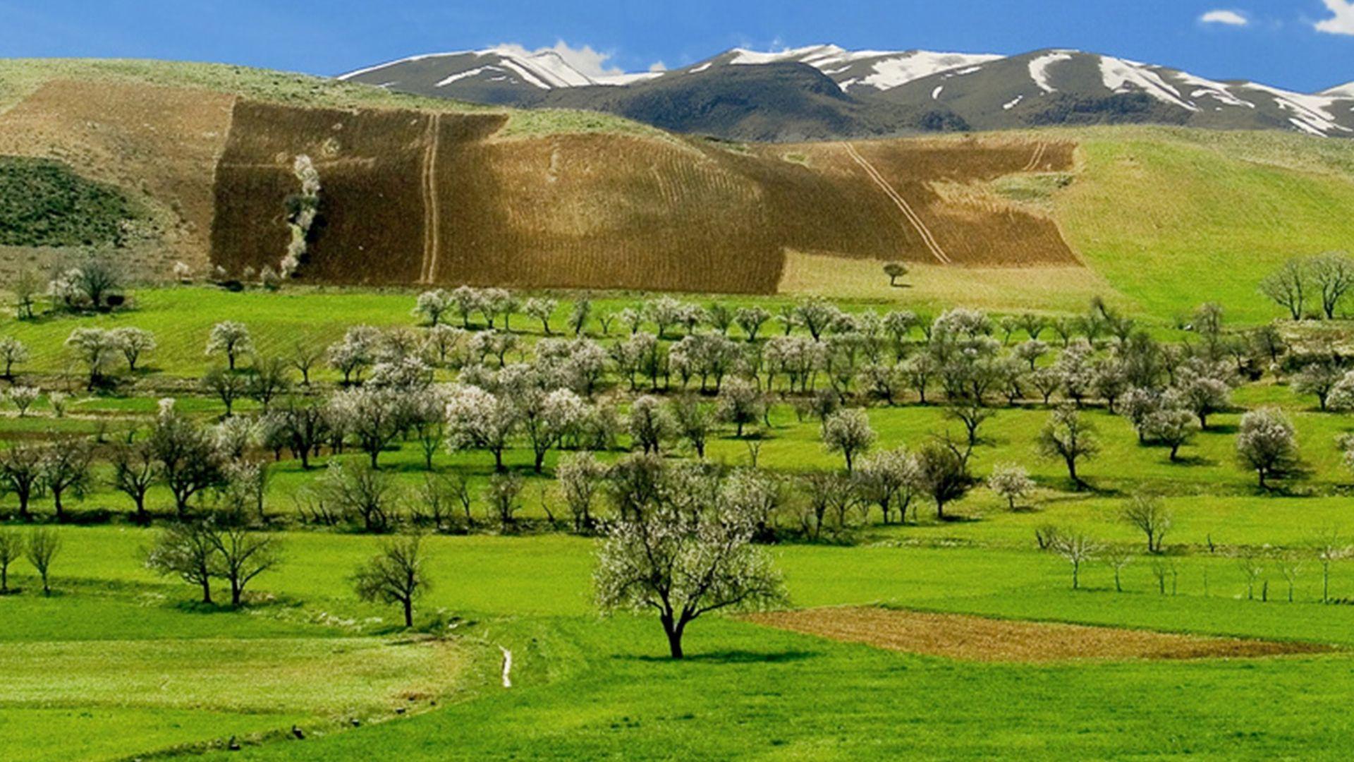 کەشناسی هەرێم: پلەکانی گەرما بەرز دەبنەوە و باران دەبارێت