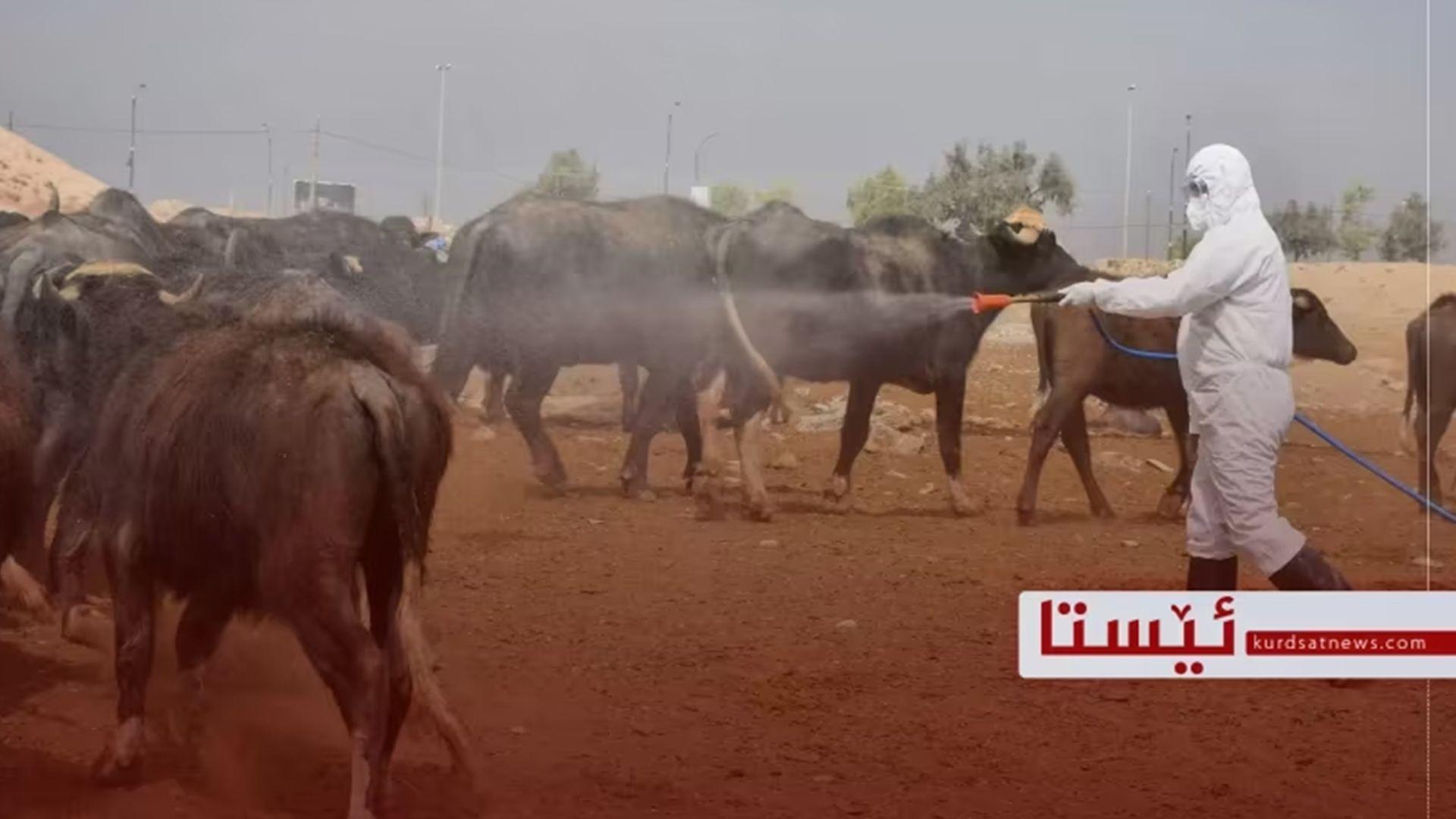 ژنێک بە تای خوێنبەربوون لە کەرکوک گیانی لەدەستدا