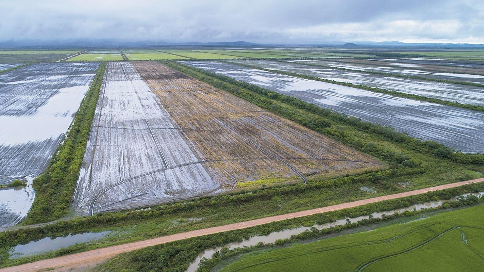 پێشبینیدەکرێت تا ساڵی 2050 لە سەدا 20ـی زەوییە شێدارەکان لە جیهان لەناوبچن