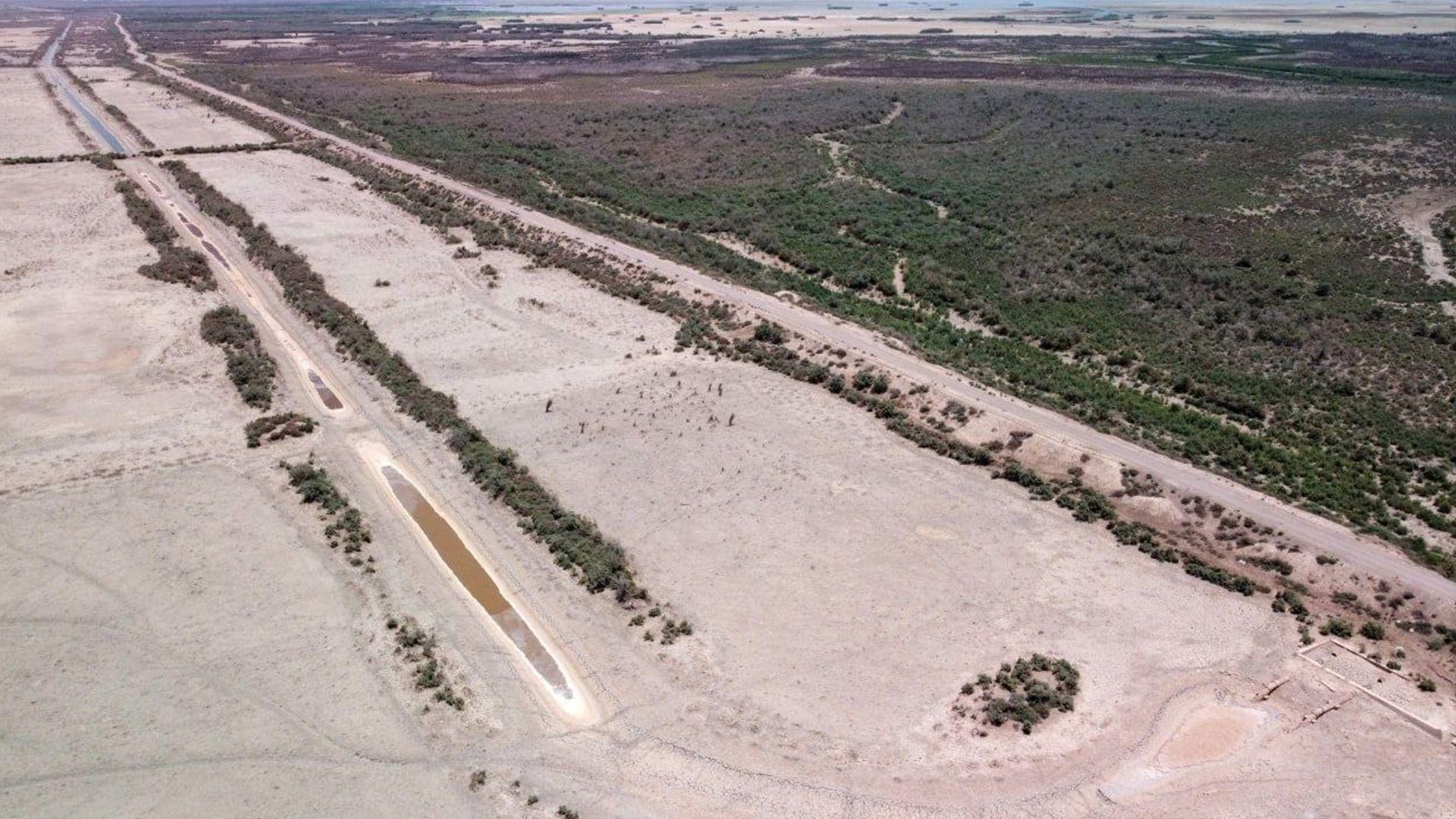 لیژنەی كشتوكاڵی ئەنجومەنی نوێنەرانی عیراق هۆشداری لەبارەی زیانەكانی وشكەساڵی دەدات