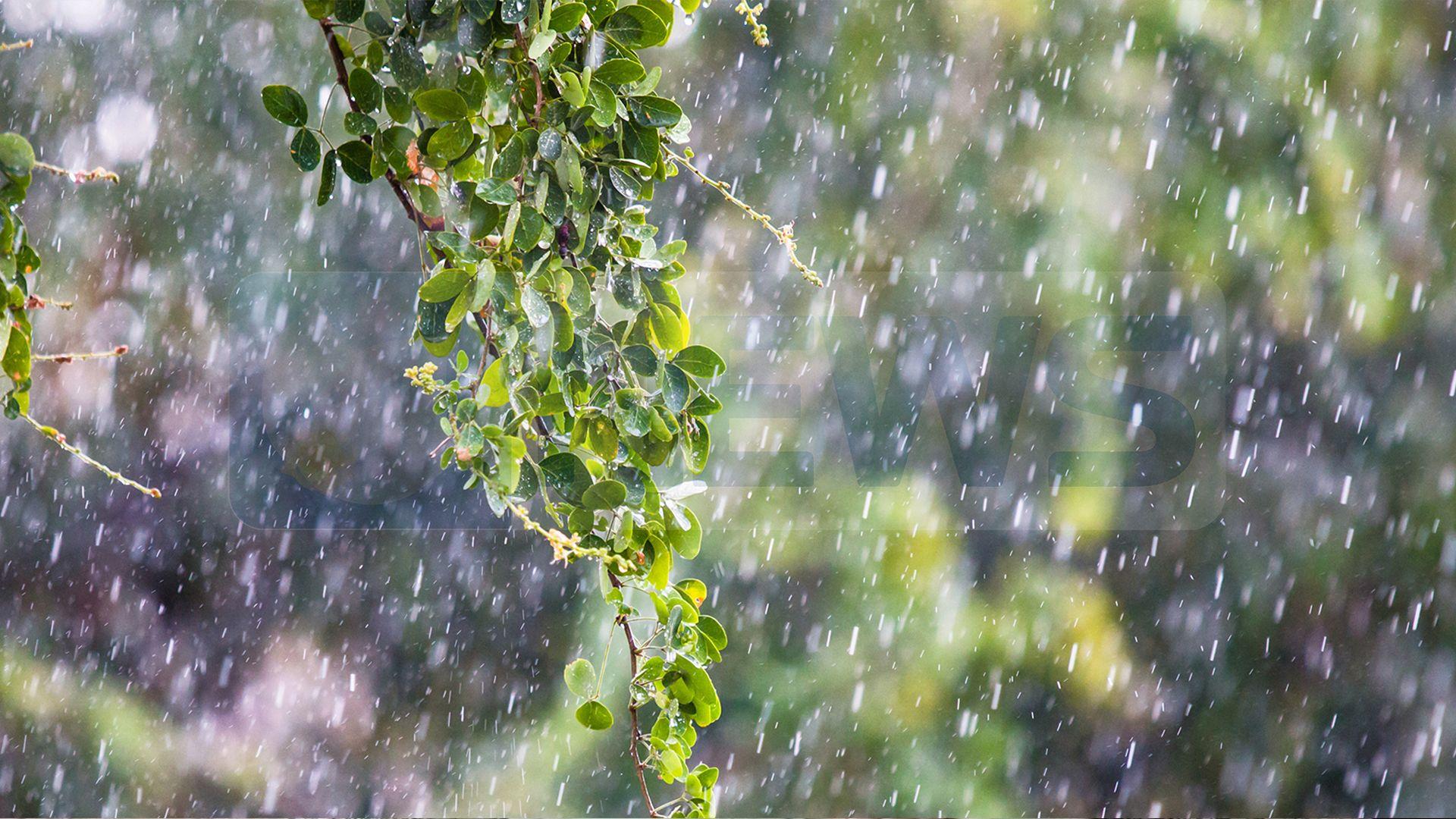  کەشناسی: لە 12 سەعاتی رابردوودا زۆرترین بڕی بارانبارین لە ئامێدی و بازیان بووە