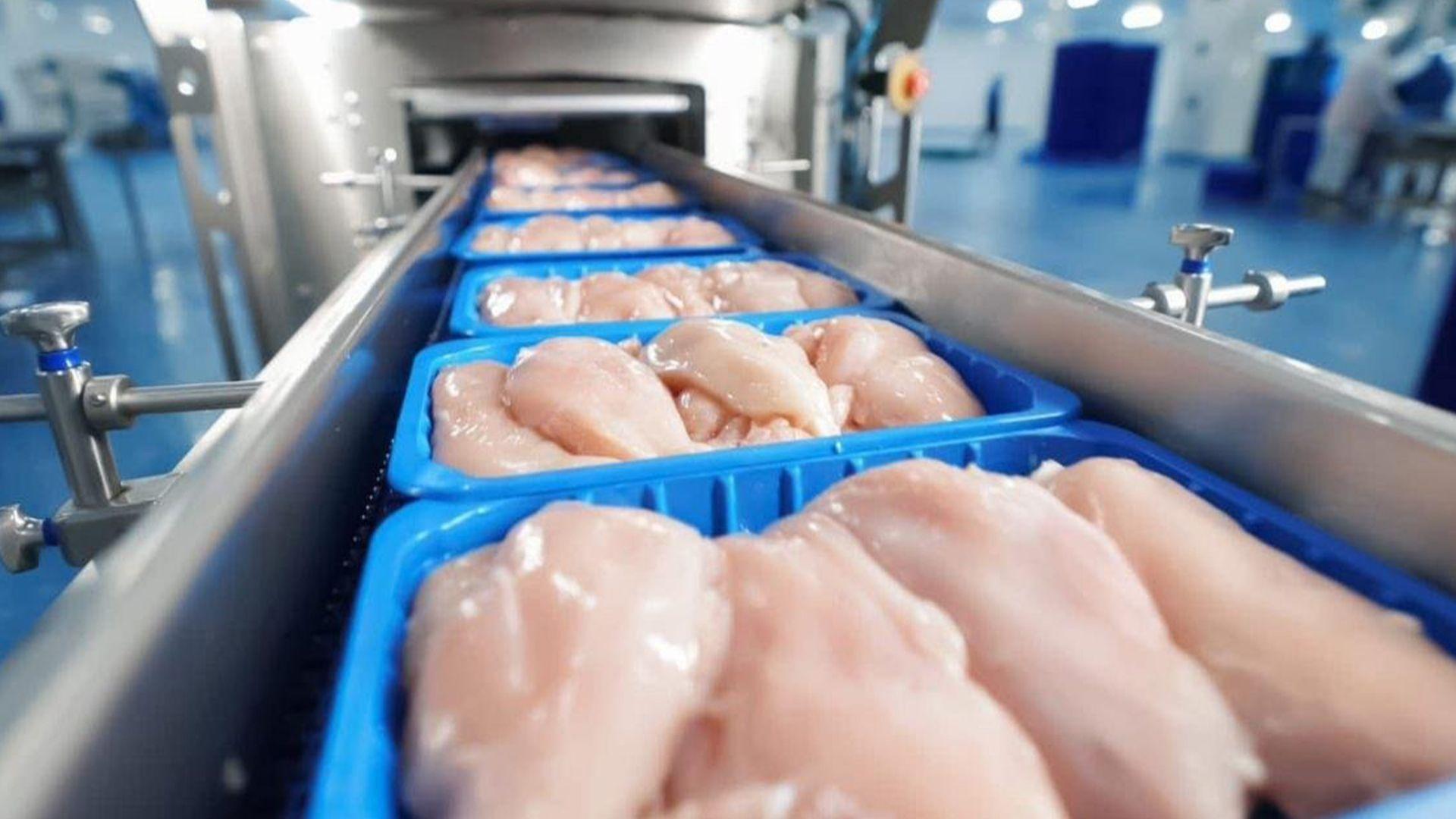 عیراق هاوردەی مریشك و بەرهەمەكانی لە 39 دەوڵەتەوە قەدەغە دەكات