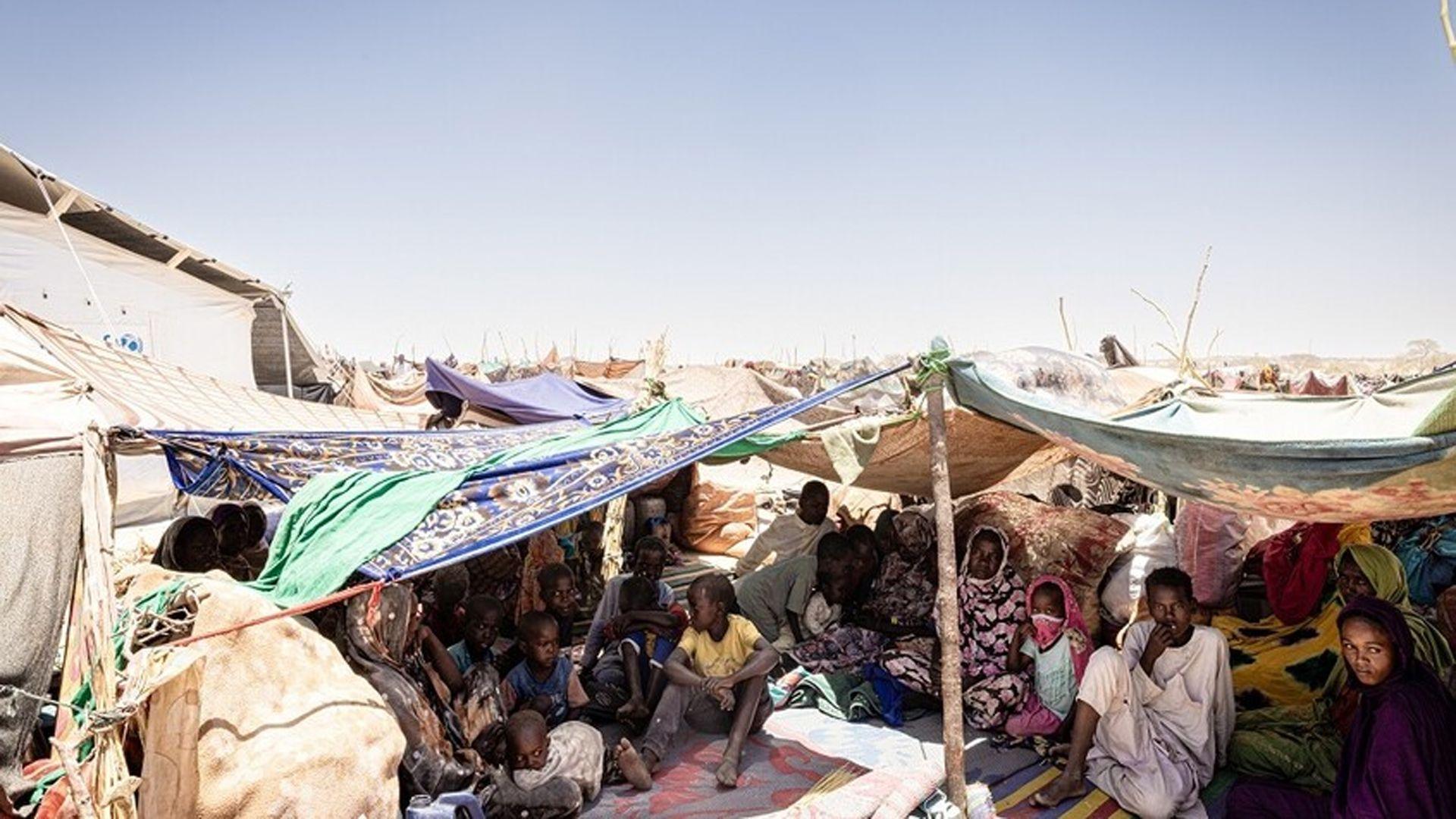 نیویۆرك تایمز: بەهۆی خواردنی ئالیكی ئاژەڵانەوە لە سودان 18 كەس گیانیان لەدەستداوە