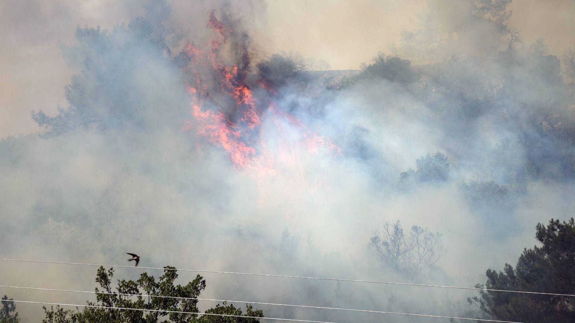 لە پارێزگای لازقیەی سوریا بەهۆی ئاگرەوە 10 هەزار هێكتار زەوی سوتان