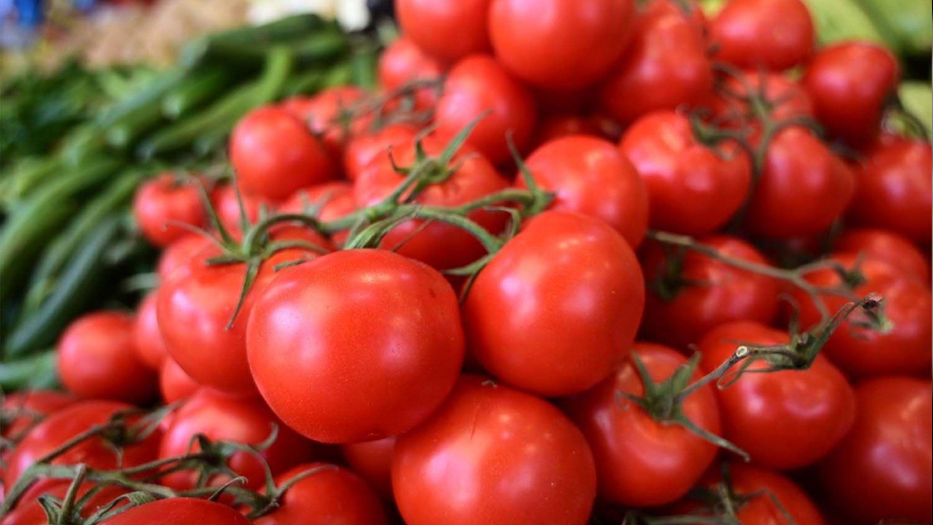 وەزارەتی كشتوكاڵی هەرێم بڕیاریدا بە هەڵگرتنی باج و قەدەغە لەسەر هاوردەكردنی تەماتە