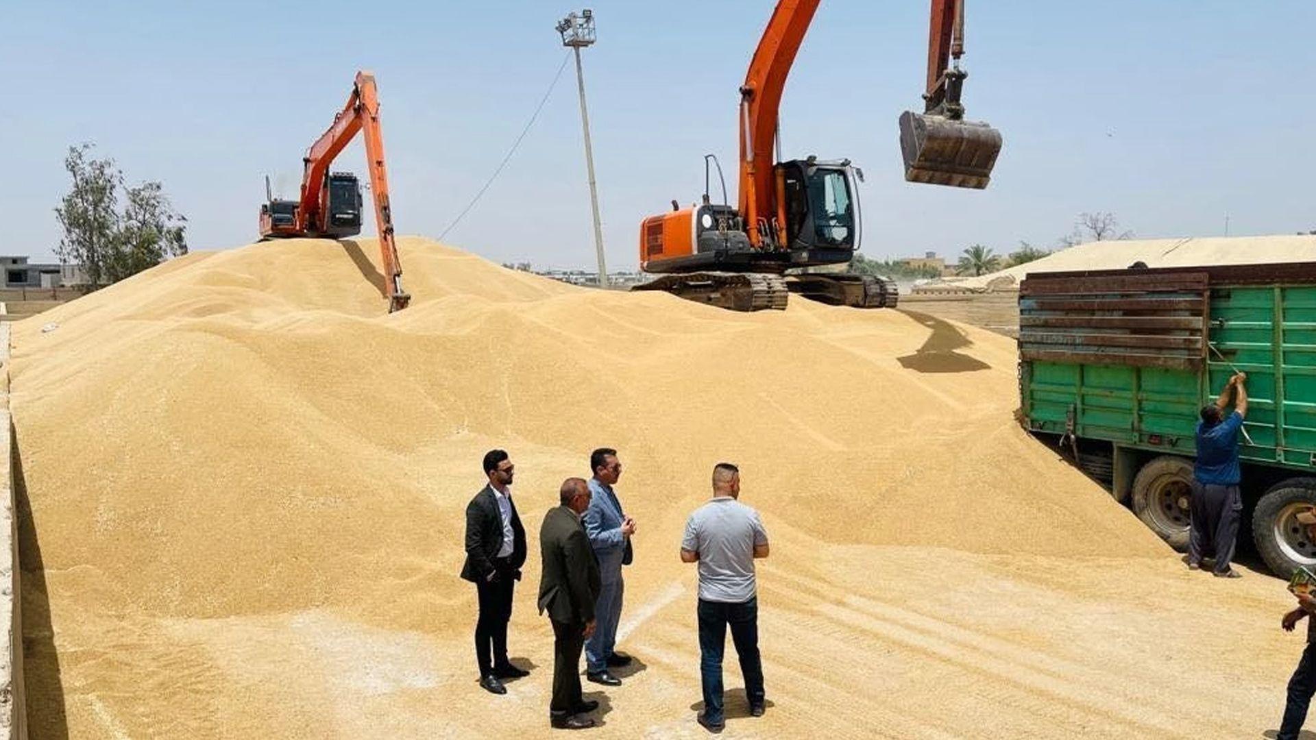 سبەینێ چەکی شایستە داراییەکانی بەشێک لە جوتیارانی سایلۆی سلێمانی دابەش دەکرێت