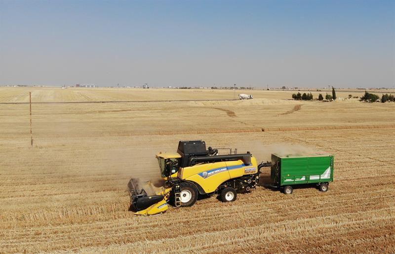 دواین بڕی پارەی گەنمی جوتیاران خرایە سەر هەژماری وەزارەتی بازرگانی هەرێم
