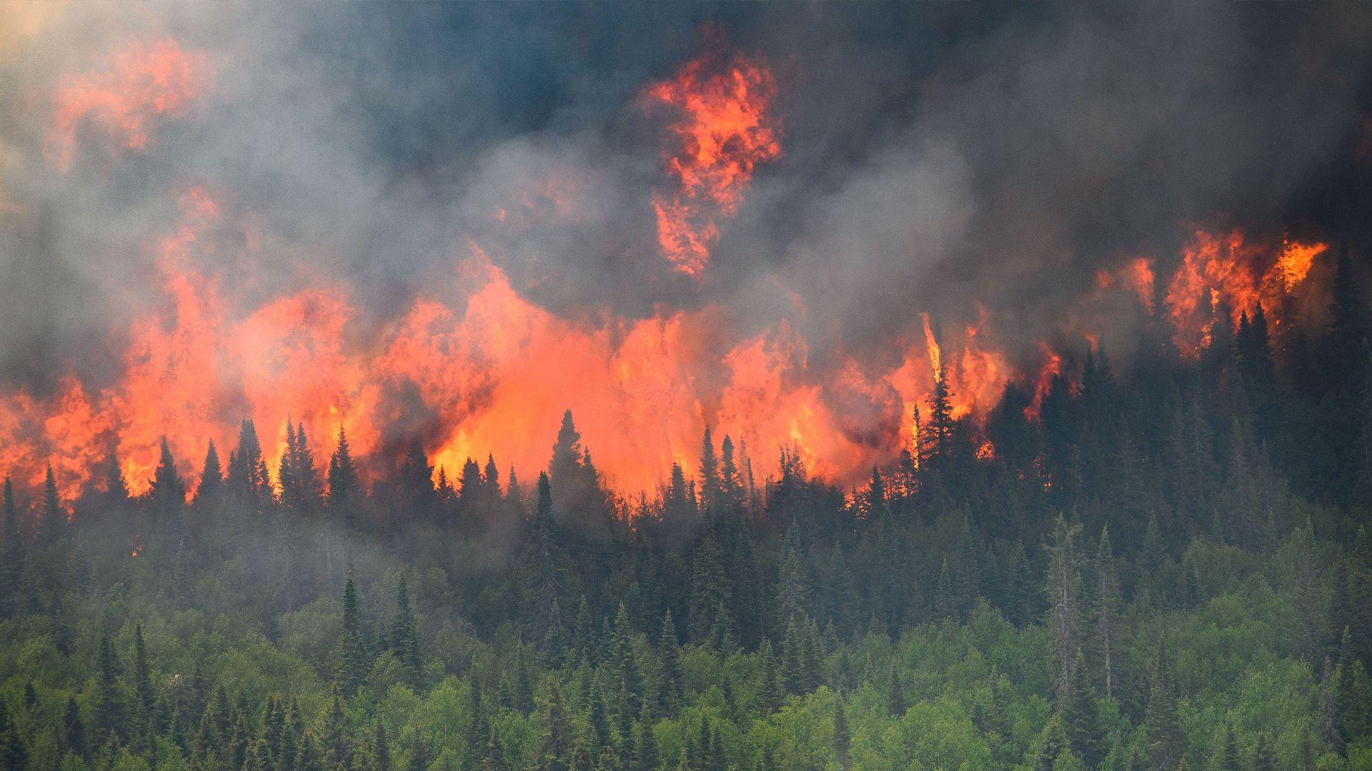 لە 2025دا هەزار و 736 ئاگر لە ئەوروپا كەوتووەتەوە