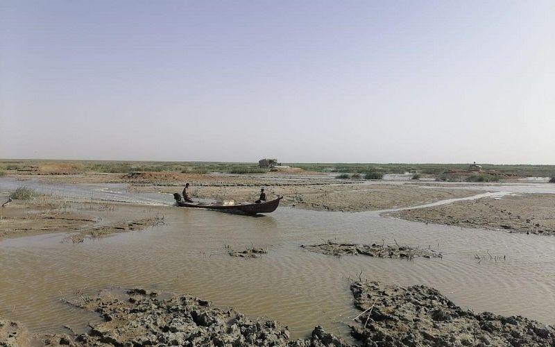 مرصد بيئي: 70% من أرض العراق قد تتحوّل لمناطق ميتة بحلول 2026