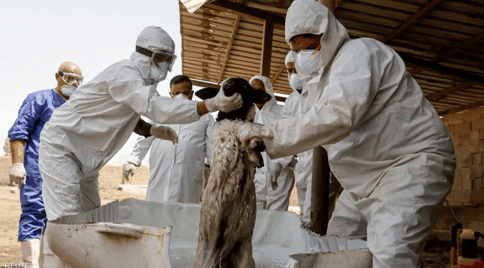 صحة كوردستان توضح بشأن حالة وفاة بالحمى النزفية