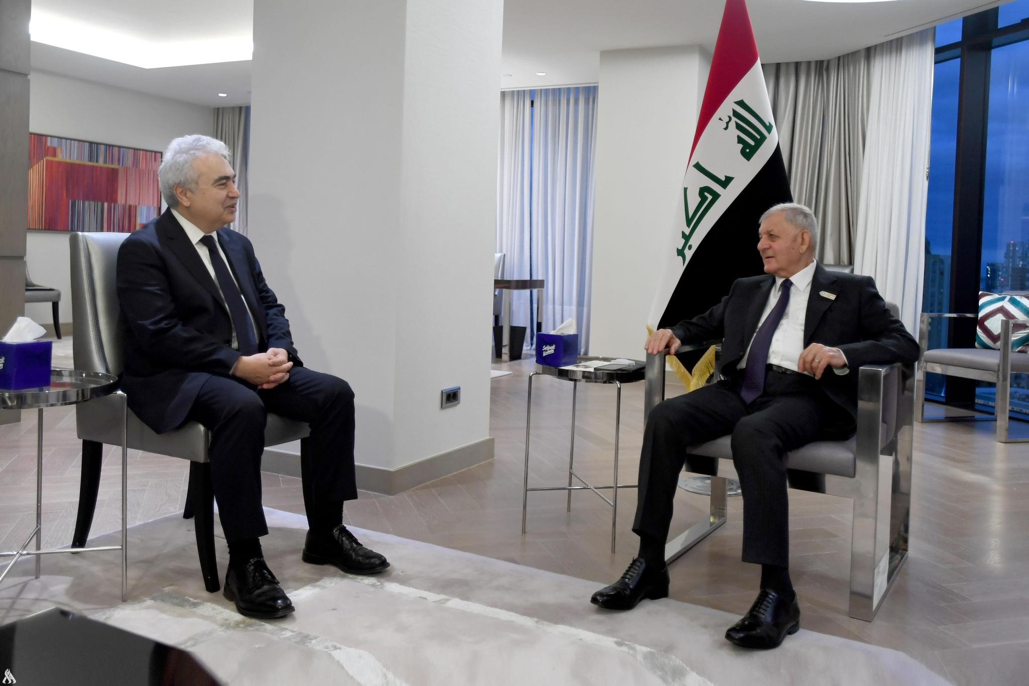 رئيس الجمهورية يستقبل المدير التنفيذي للوكالة الدولية للطاقة الذرية