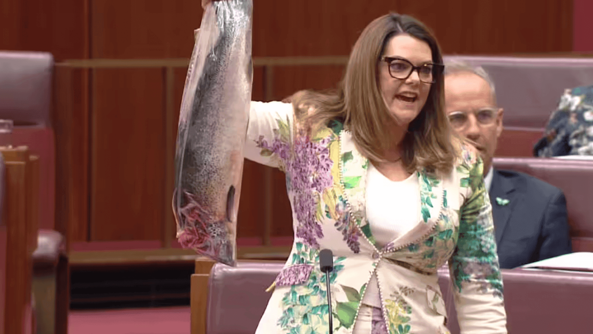 ئه‌ندامێکی ئه‌نجومه‌نی پیرانی ئوسترالیا لە کۆبونەوەیەکی رەسمیدا ماسیەکی مردو دەباتە ژورەوە