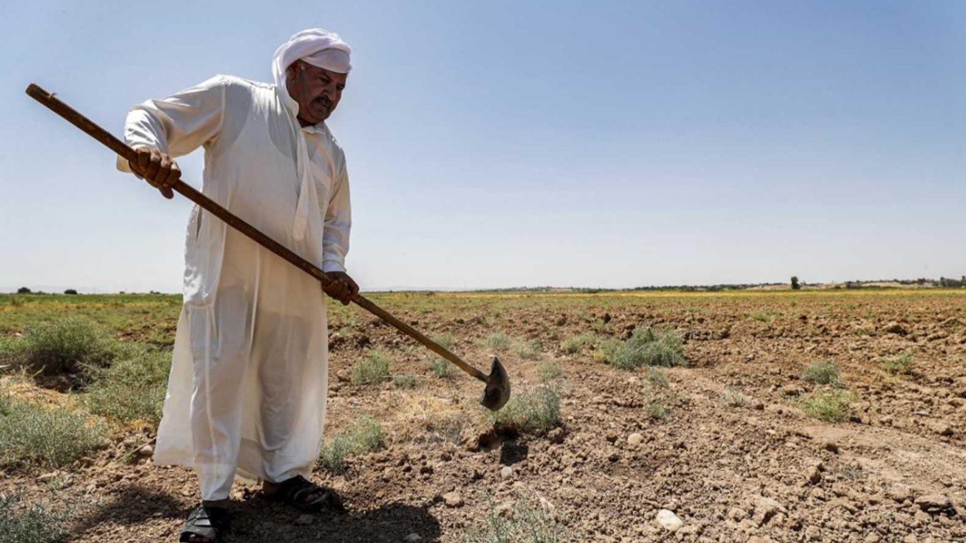 ناوەندی ستراتیژی بۆ مافەکانی مرۆڤ: عیراق 30%ی زەوی کشتوکاڵی لەدەستداوە