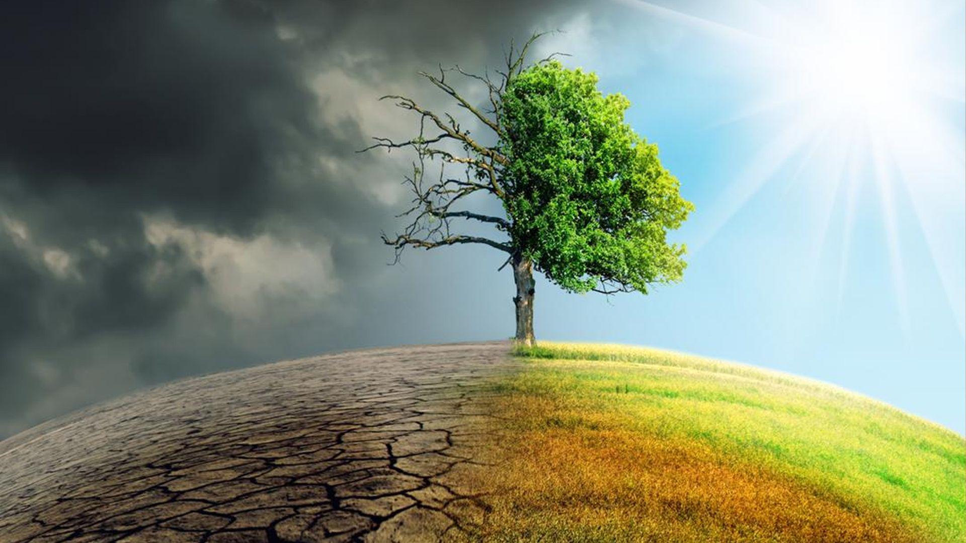 رێکخراوی سەوزی عیراق: نیوەی خاکی عیراق لەژێر مەترسی بیابانبووندایە