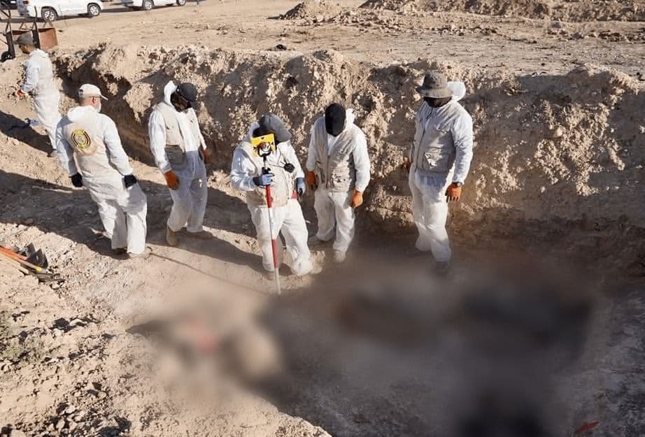 article gallery image