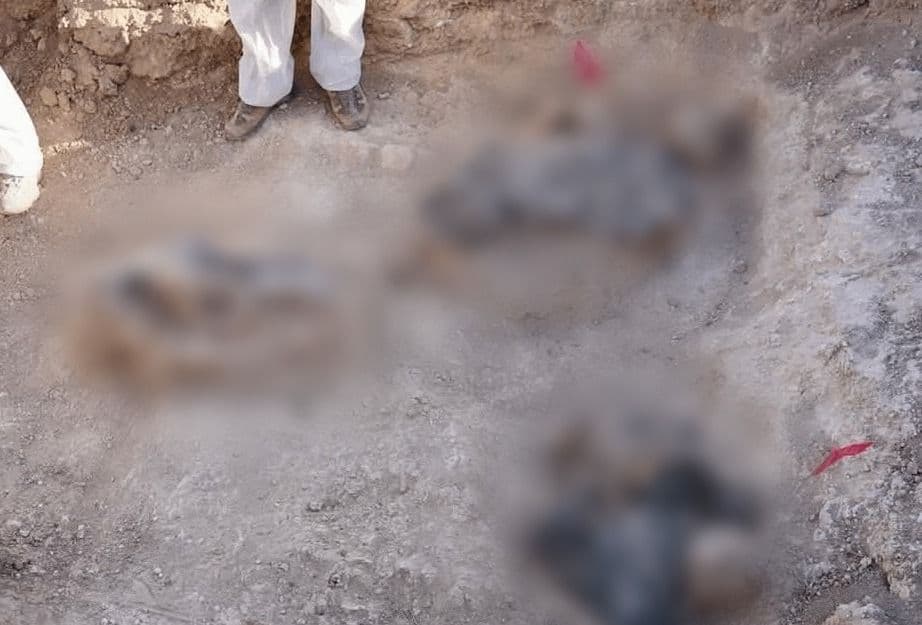 article gallery image