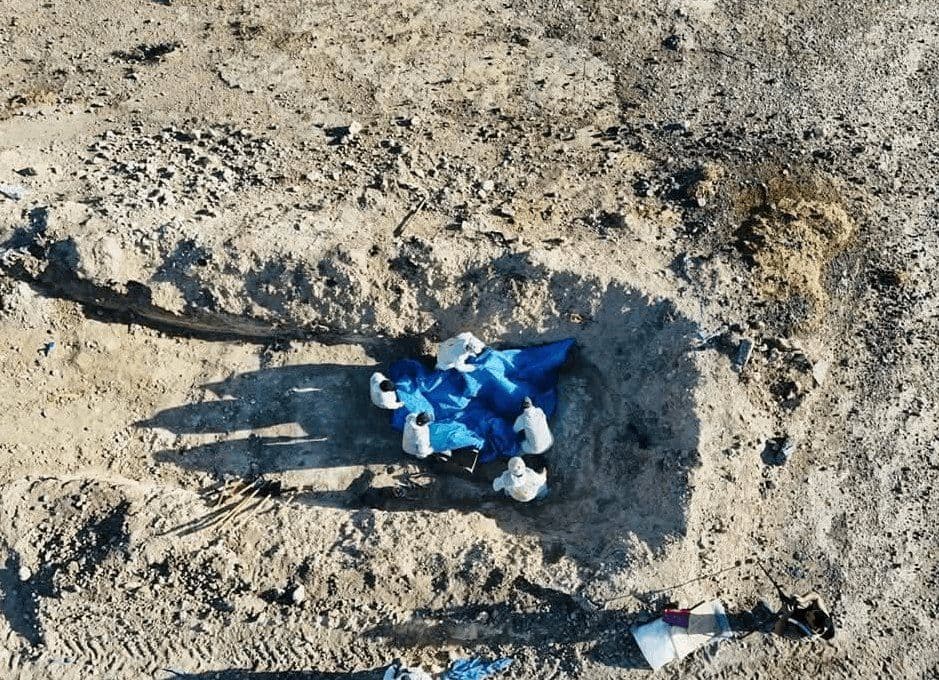 article gallery image