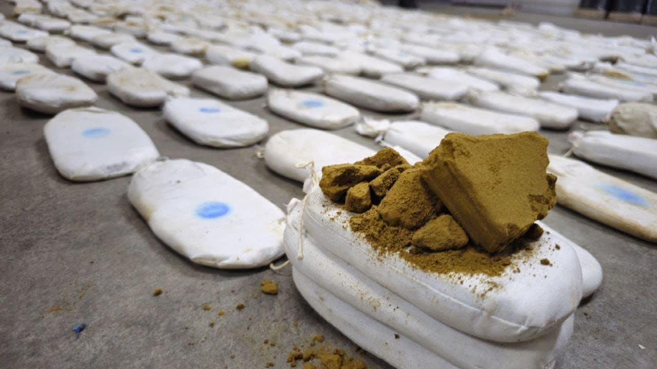 article gallery image