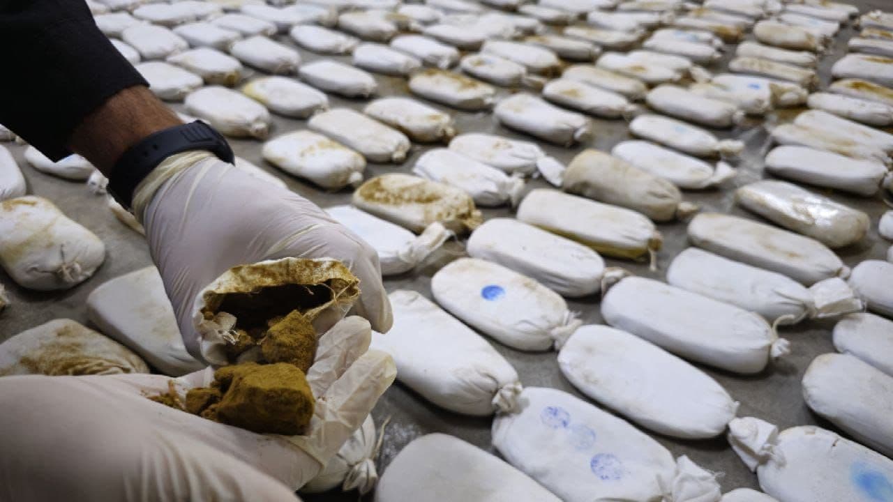 article gallery image