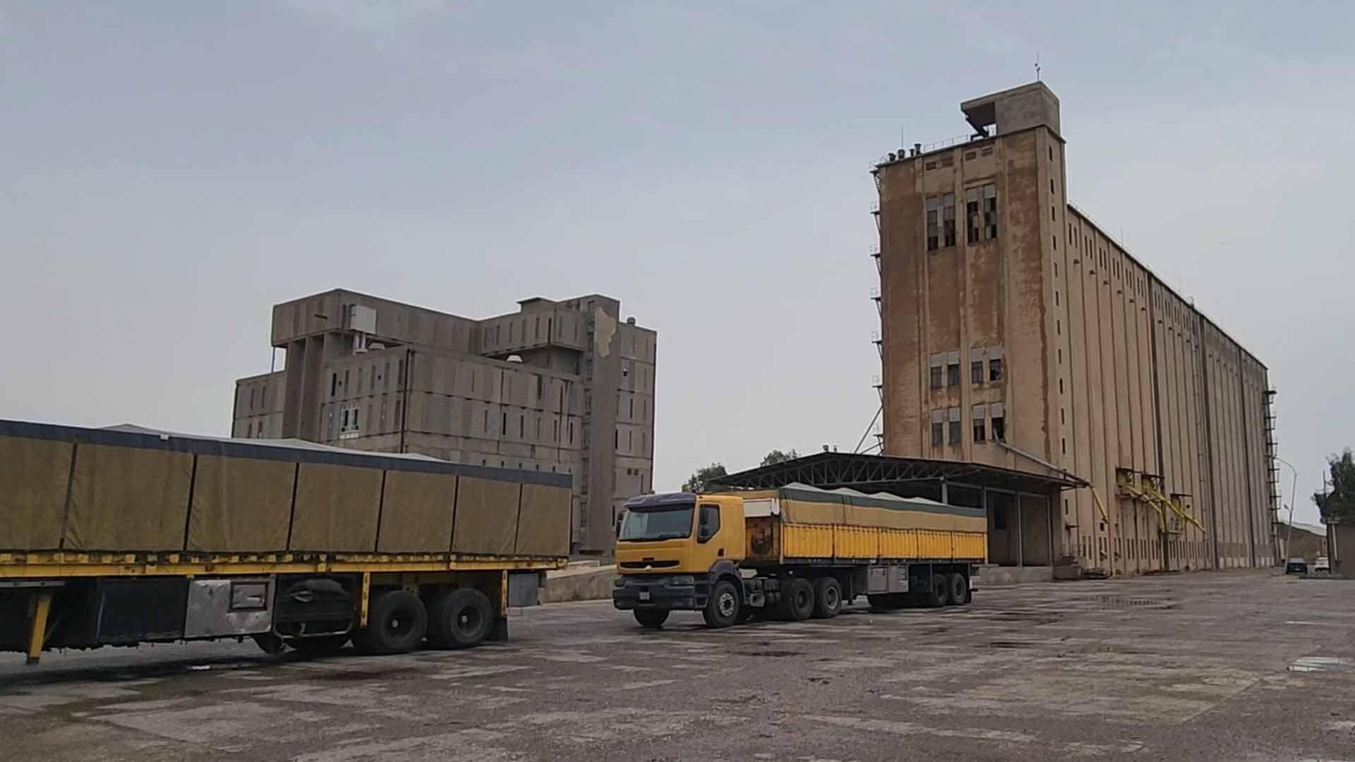 پەیامنێری کوردسات نیوز: بەغداد بڕیاری دا گەنمی تەواوی جوتیارانی کەرکوک وەربگرێت