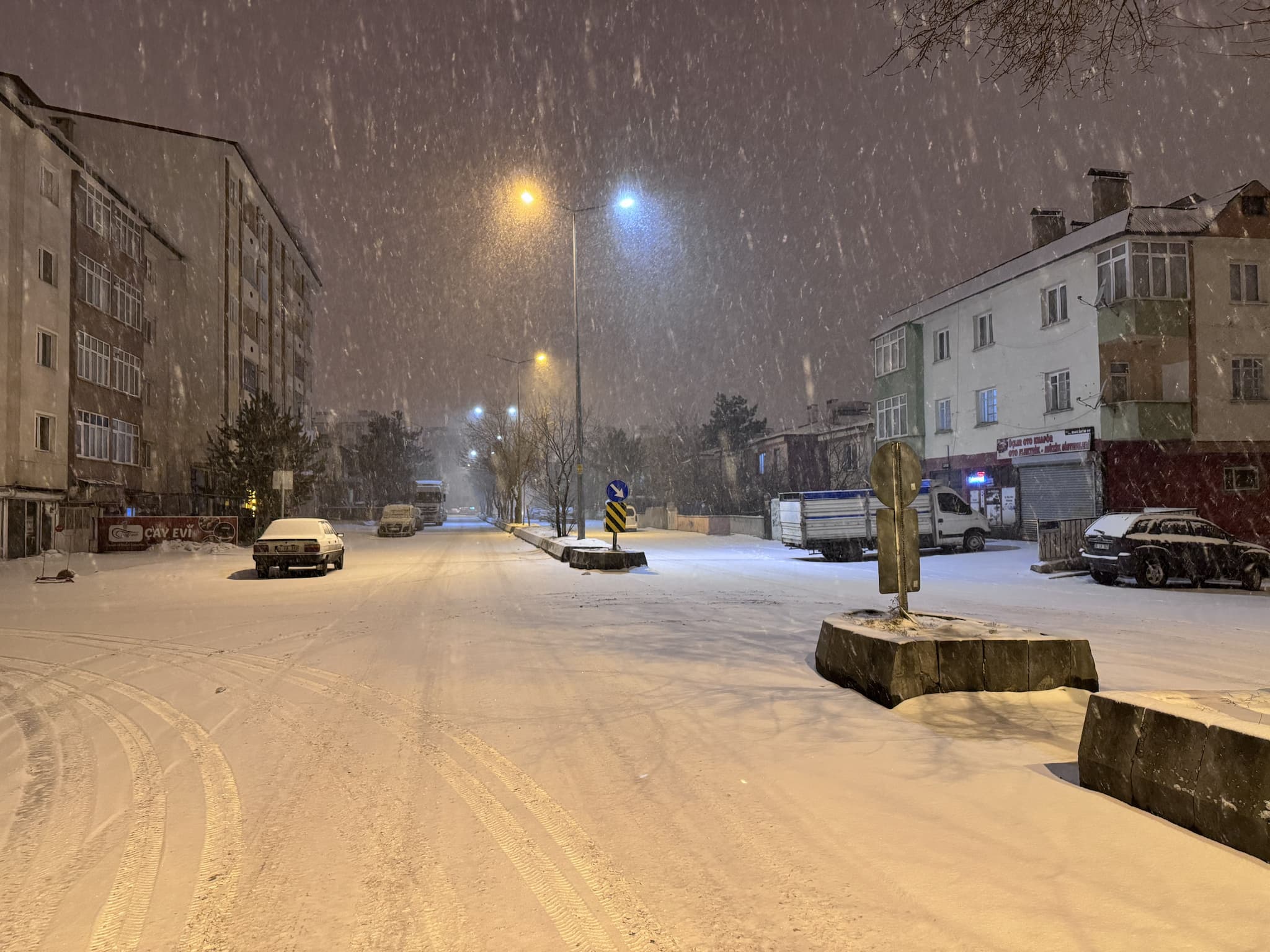 article gallery image