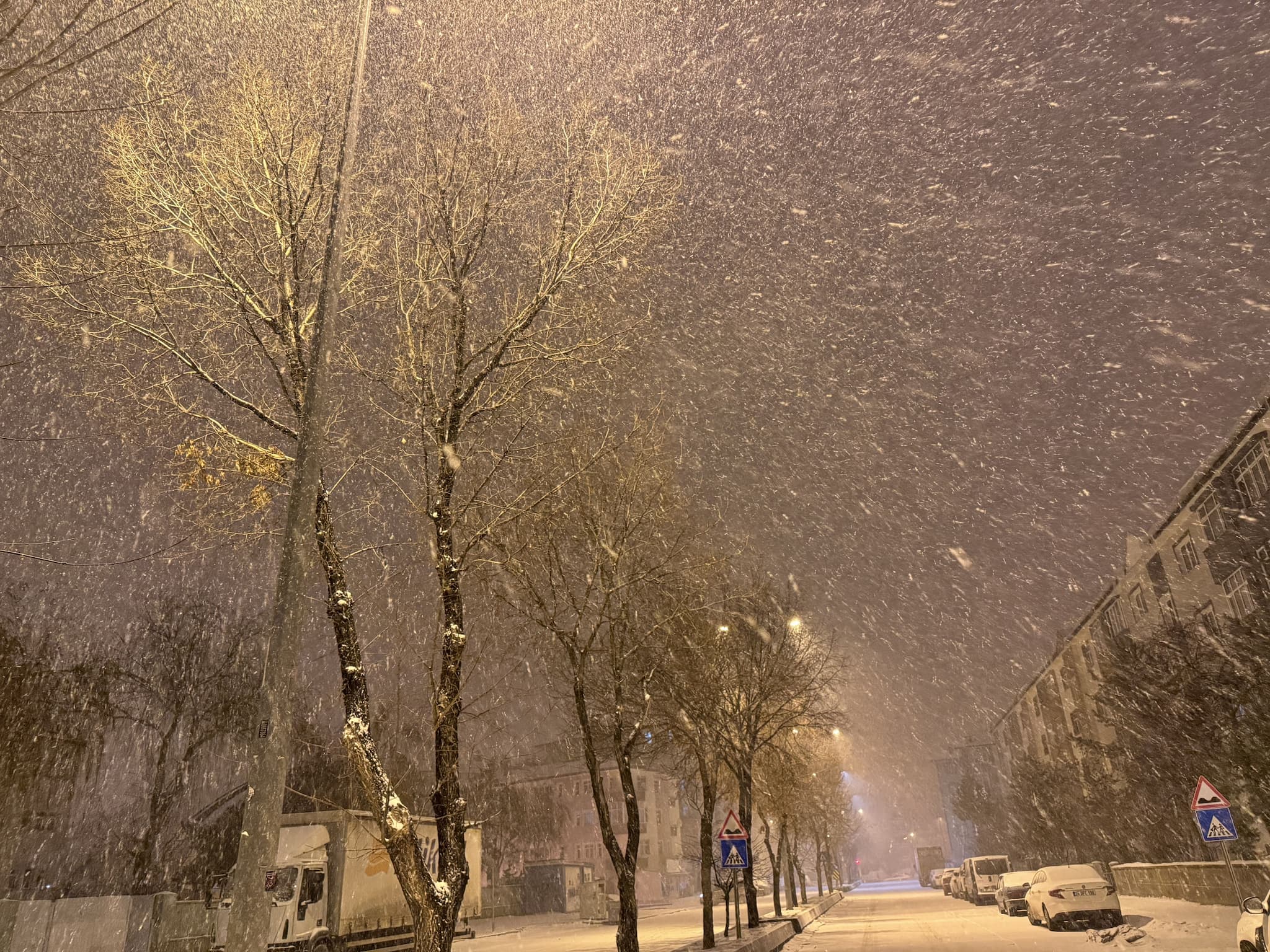 article gallery image