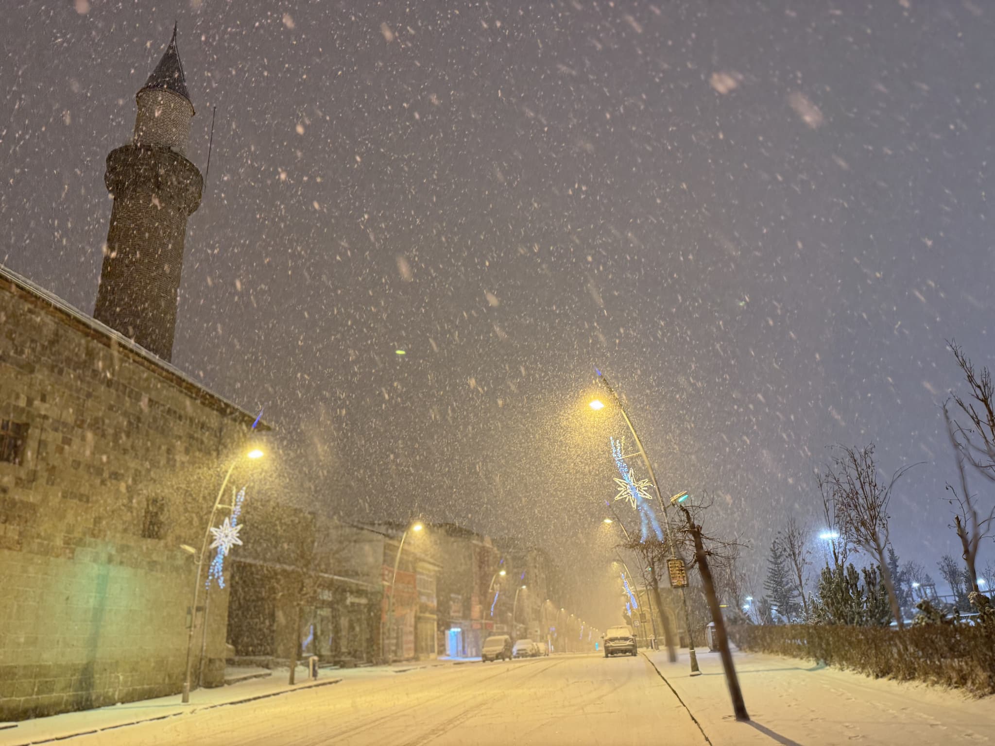 article gallery image