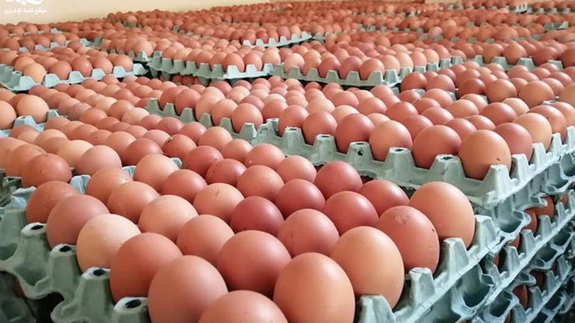 وەزارەتی کشتوکاڵی عیراق رێکاری بەپەلە بۆ رێگریکردن لە بەرزبوونەوەی نرخی هێلکە دەگرێتە بەر